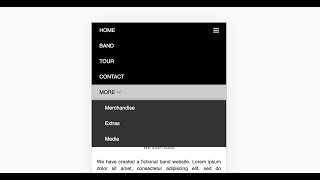 21. Mobile menu responsive