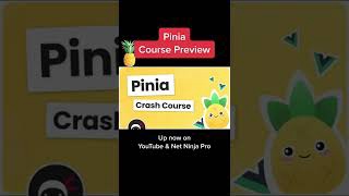 Pinia Course Preview #shorts