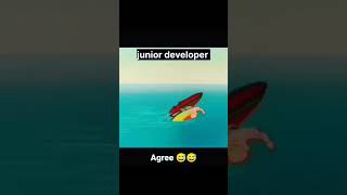 Senior Developer vs Junior Developer