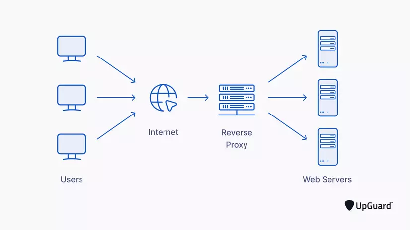 61ee501466af465f016c81b6_Proxy Servers vs. VPNs 3.png