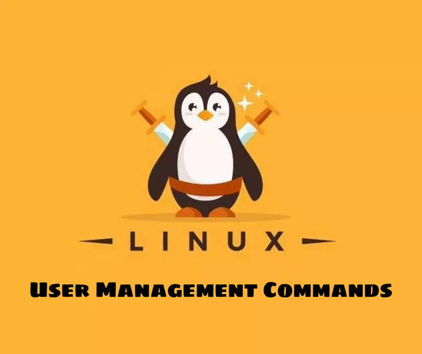 User Management Commands.png